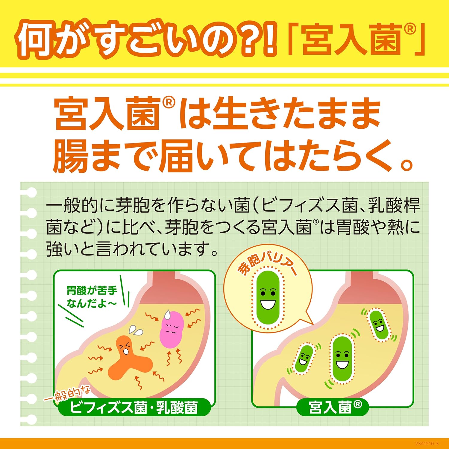 商品画像2