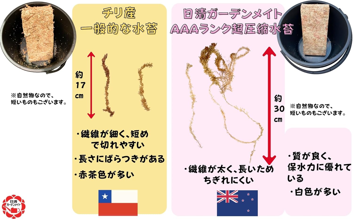 商品画像4