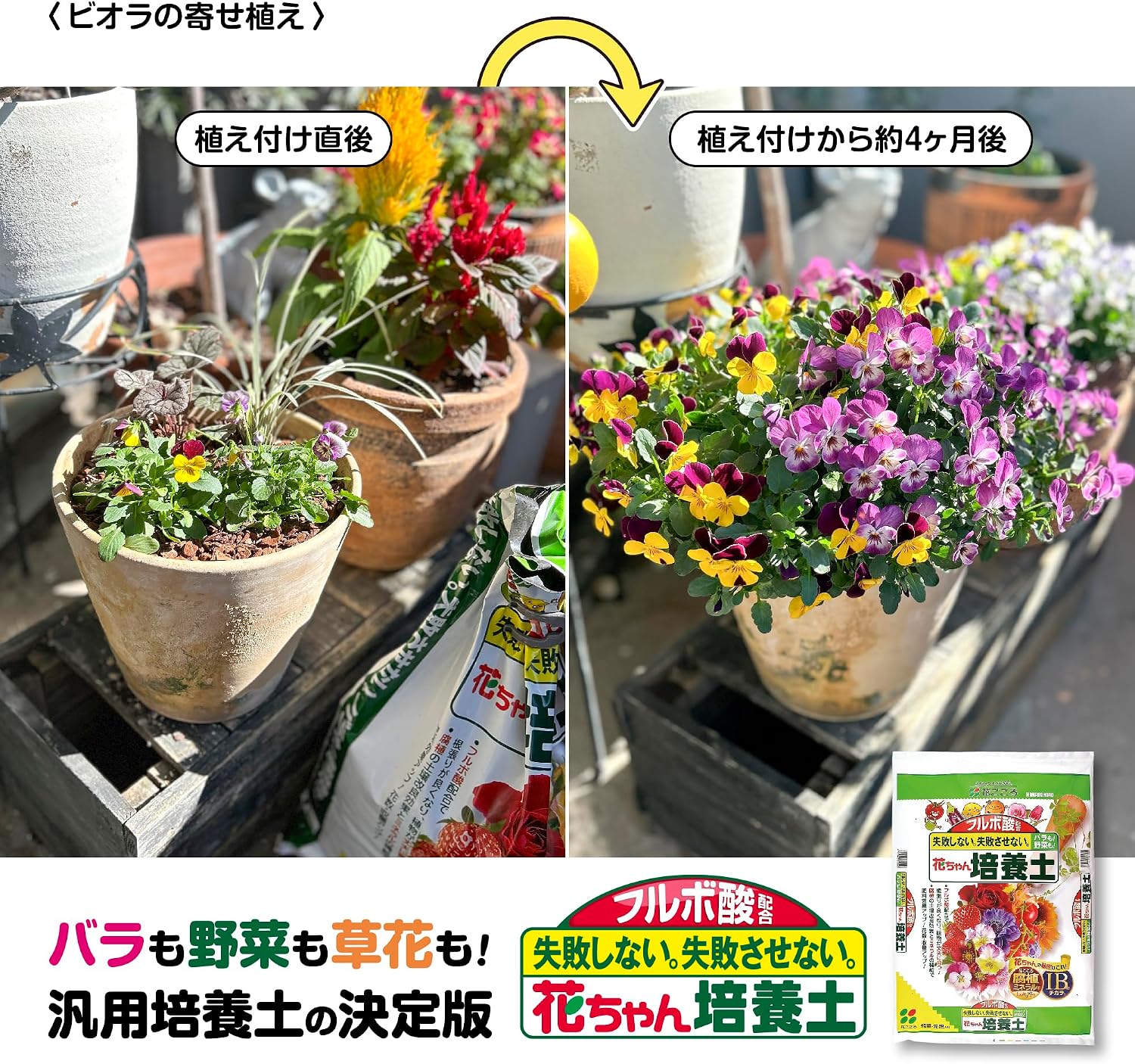 商品画像3