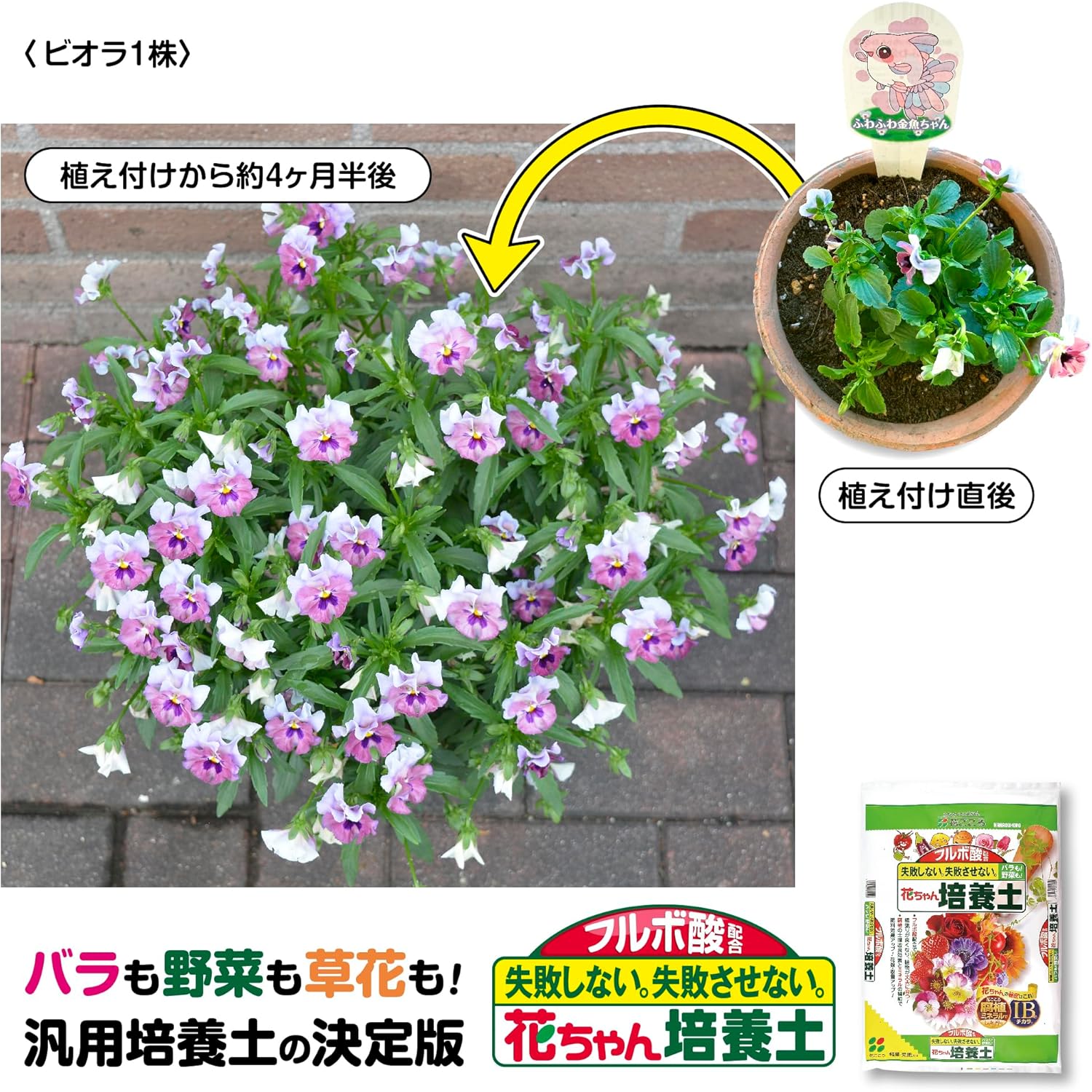 商品画像4