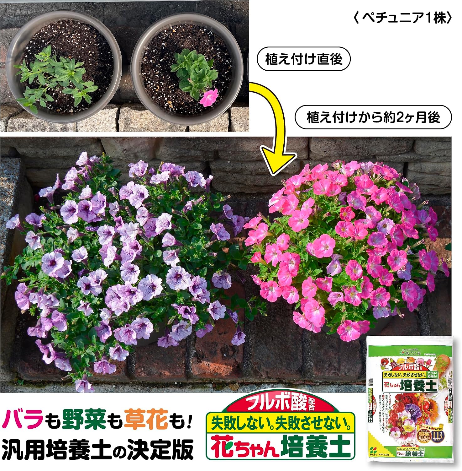 商品画像5