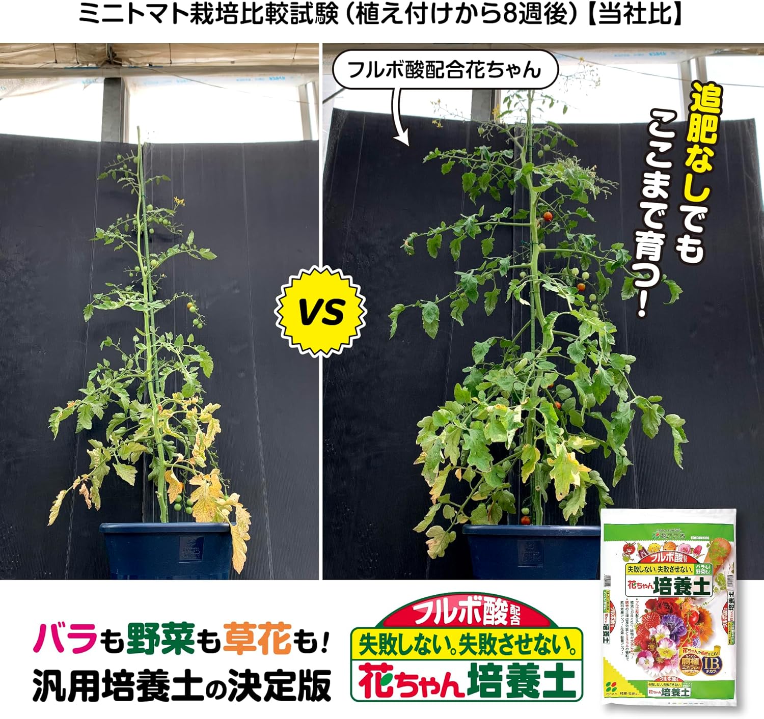 商品画像6