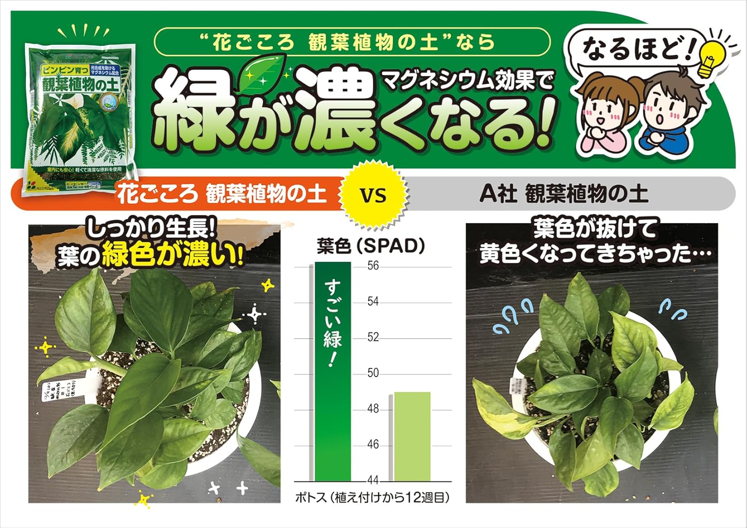 商品画像4
