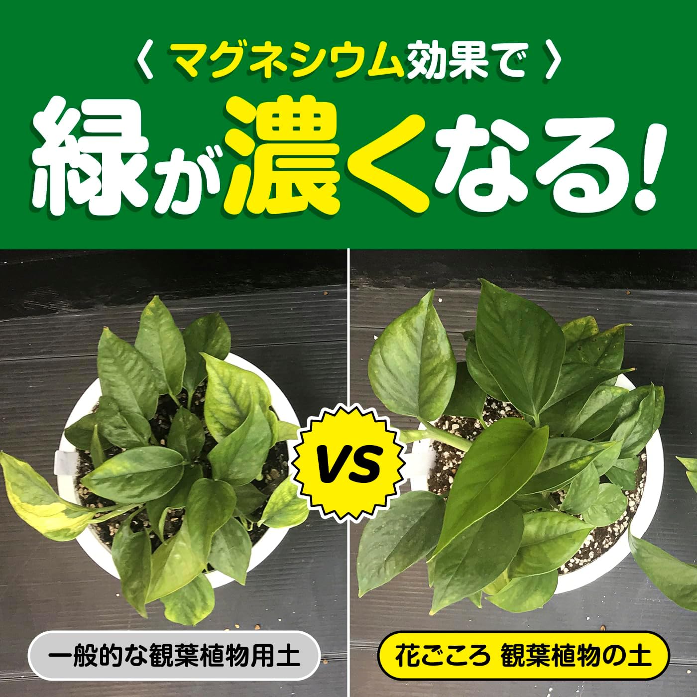 商品画像5