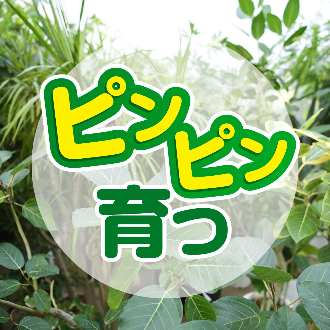 商品画像6
