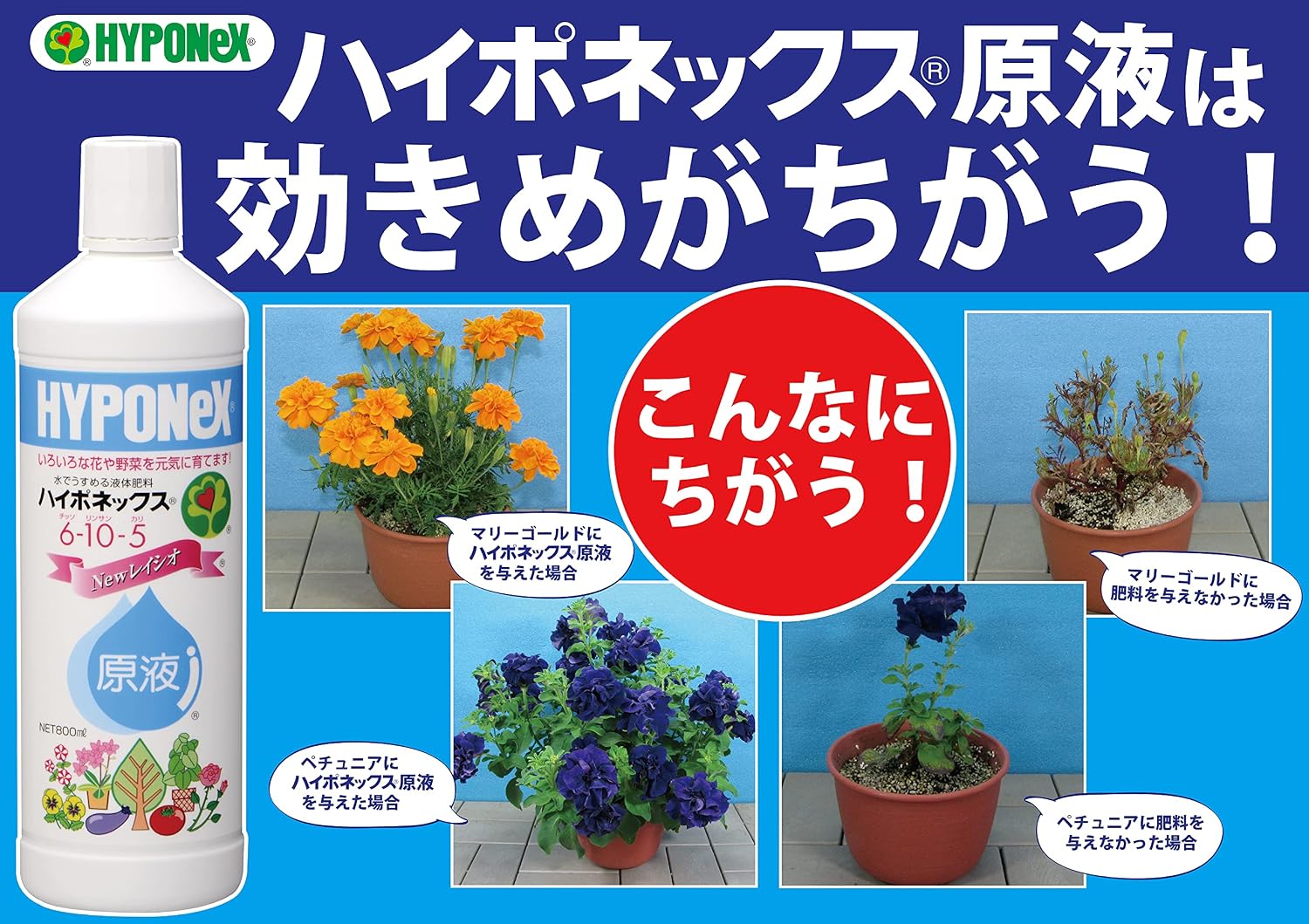 商品画像4