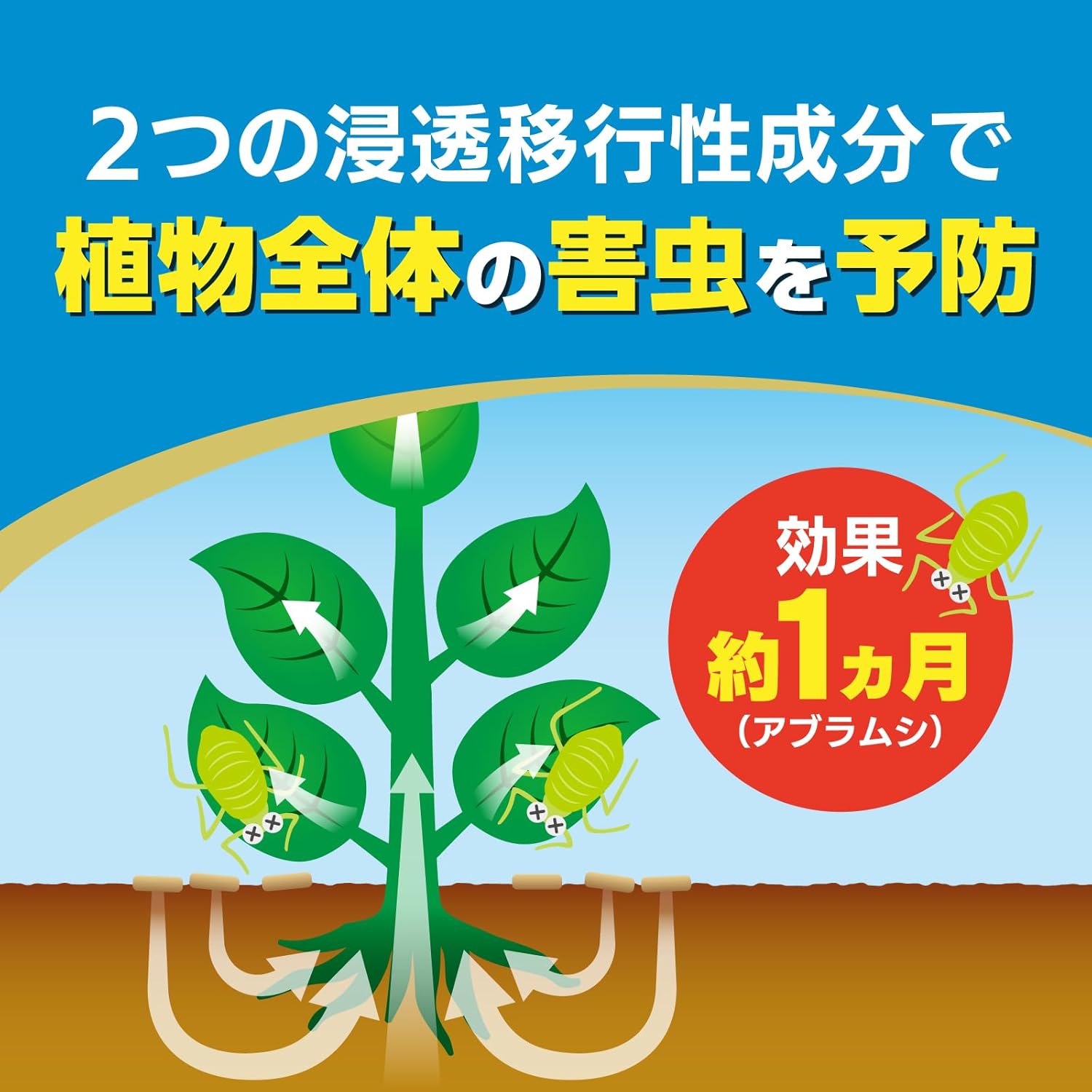 商品画像2