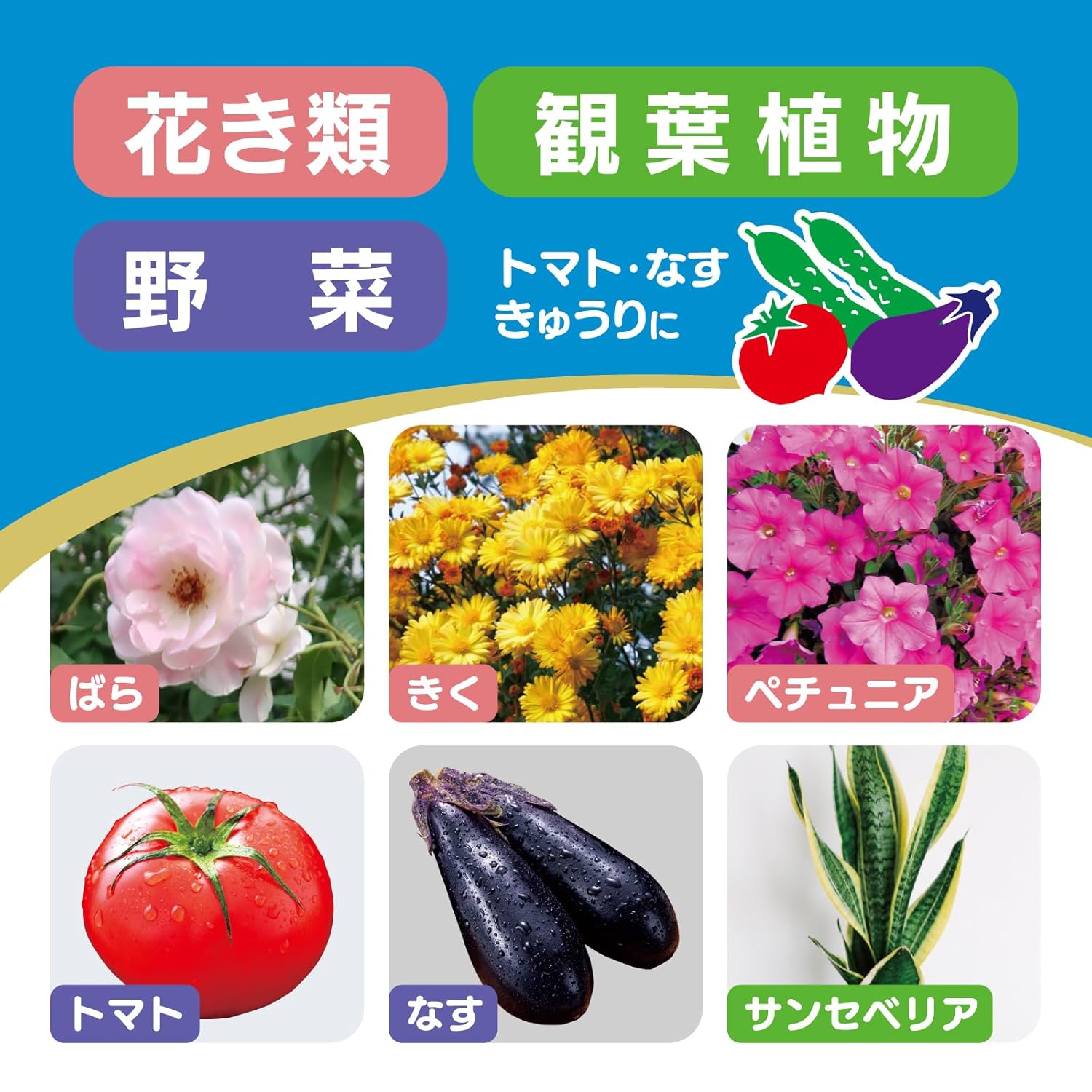 商品画像4