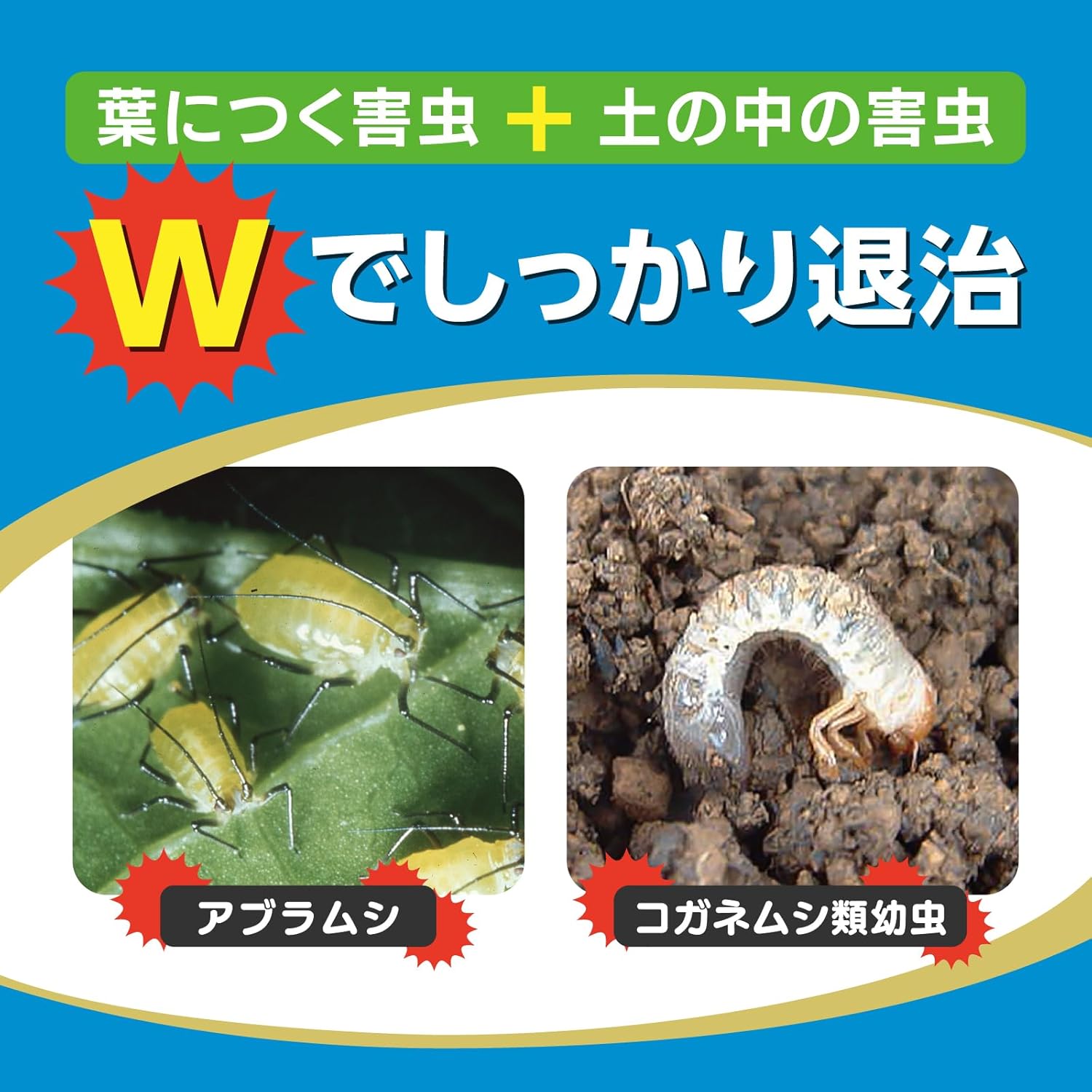 商品画像5