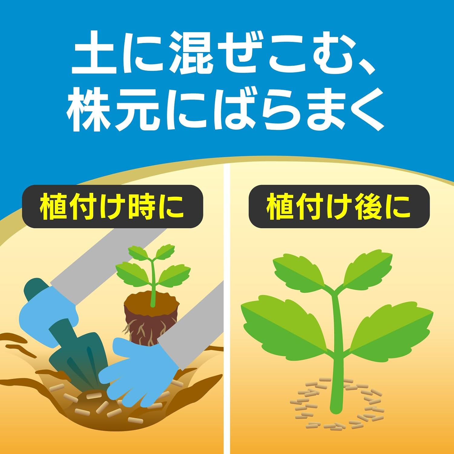 商品画像6