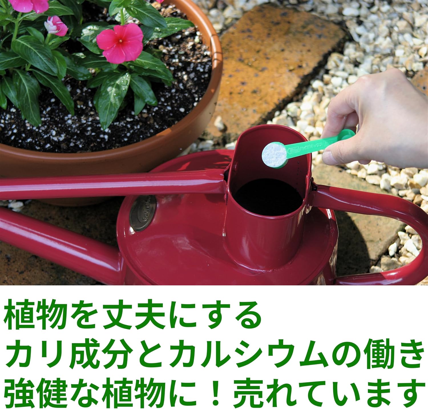商品画像4