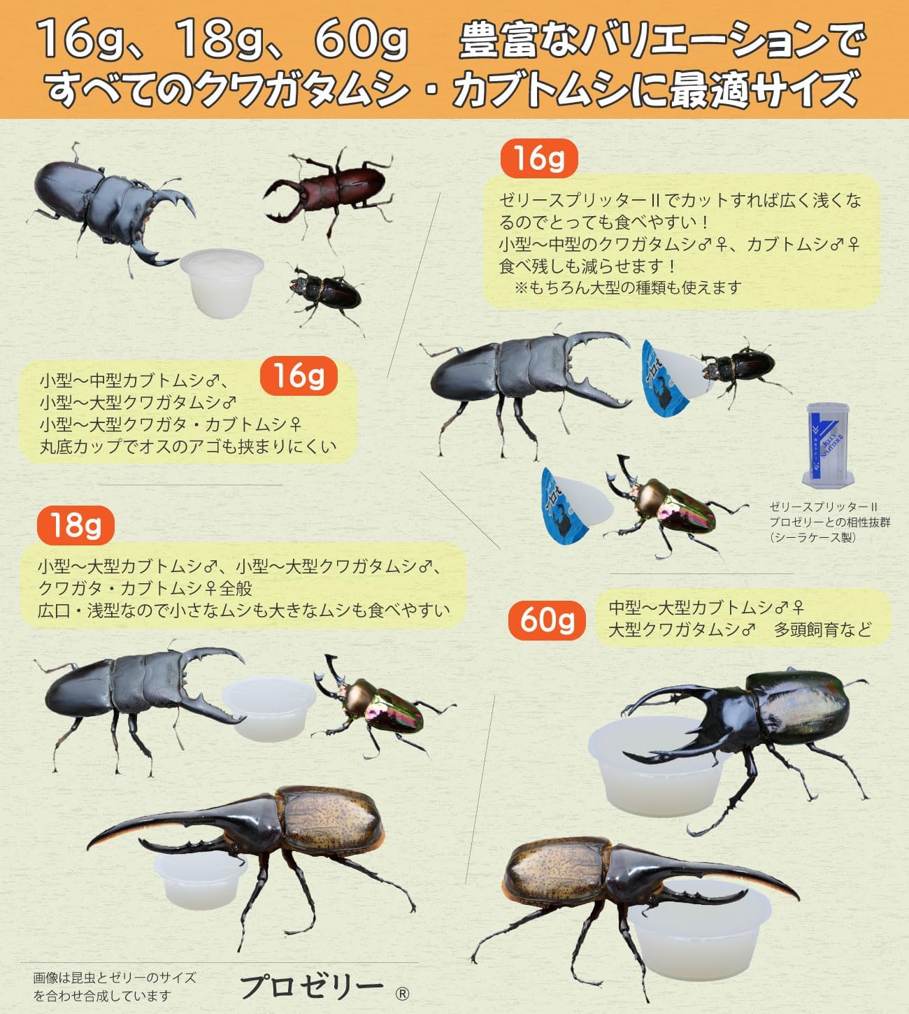 商品画像5