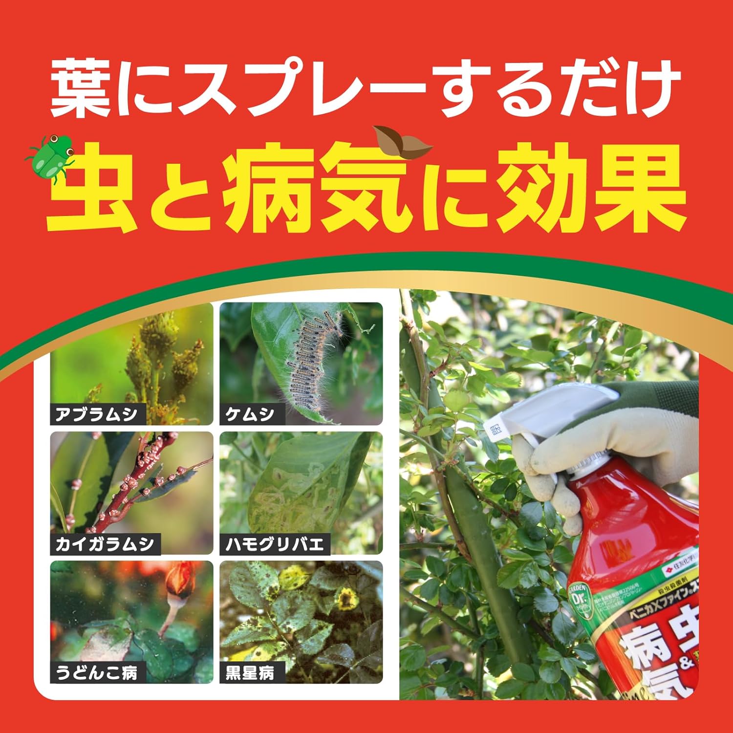 商品画像2