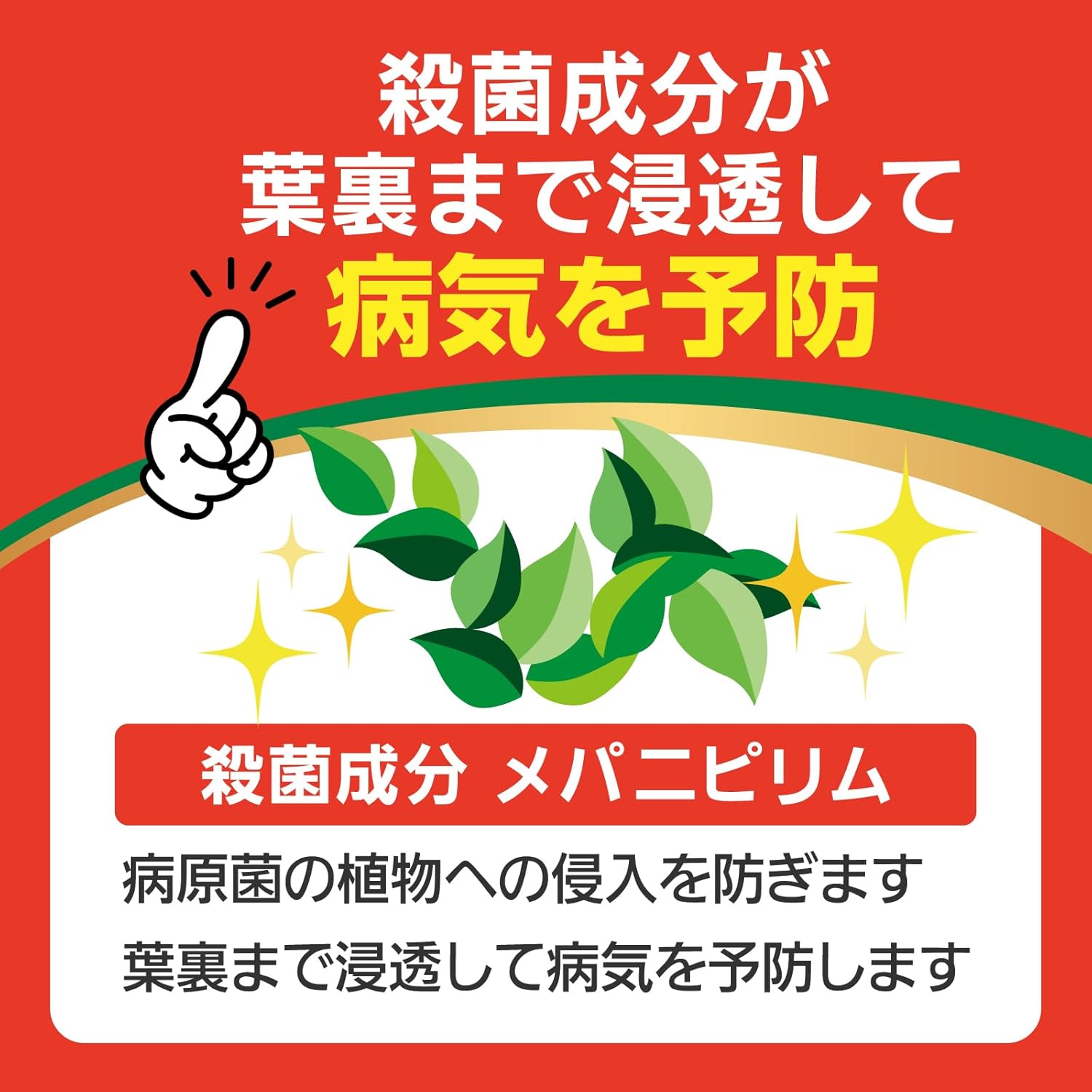 商品画像4