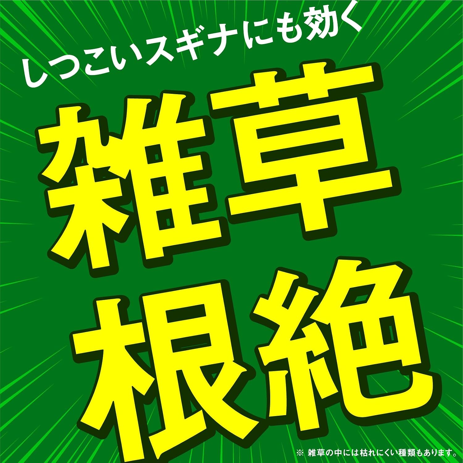 商品画像3