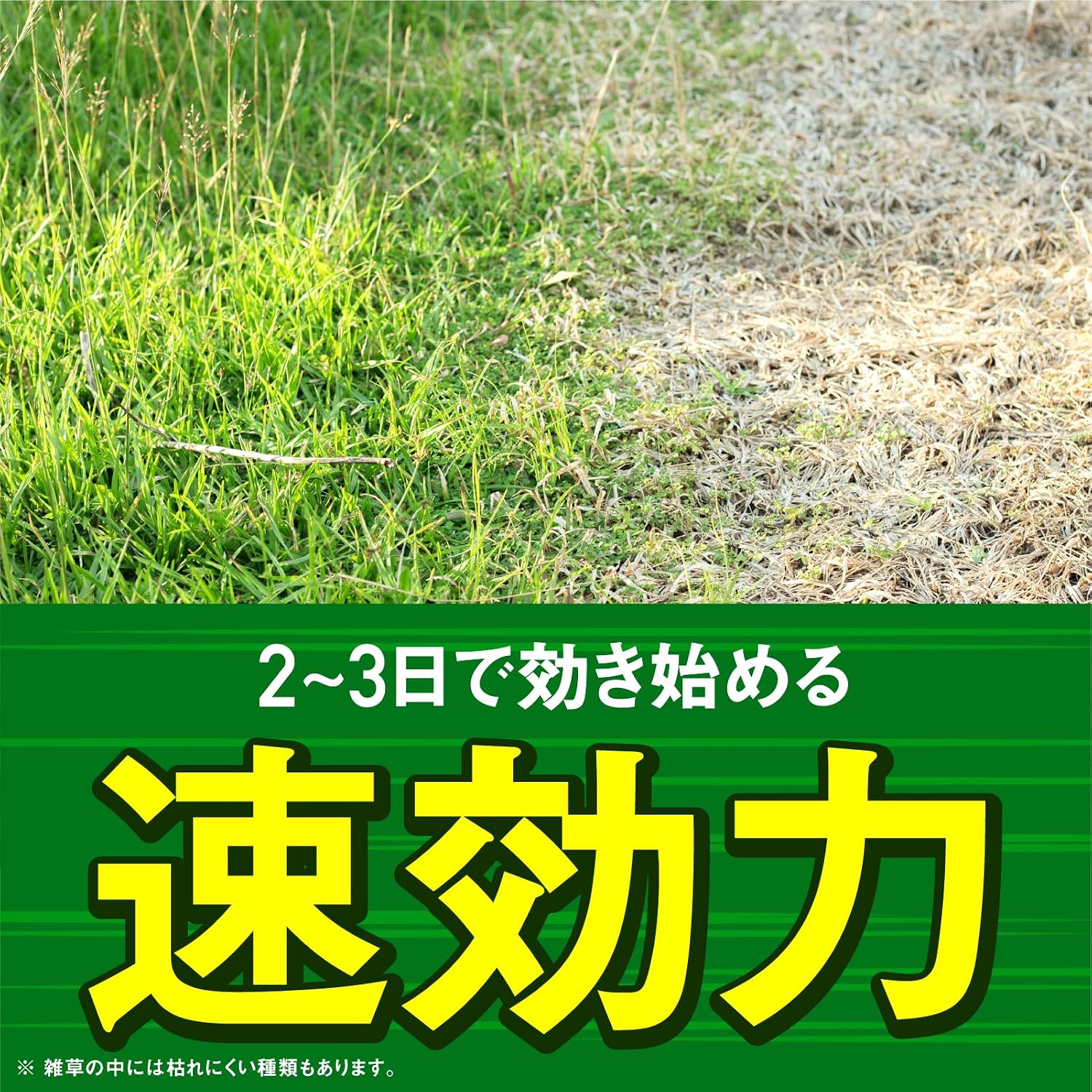 商品画像4