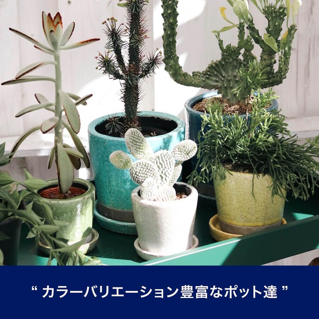 商品画像3