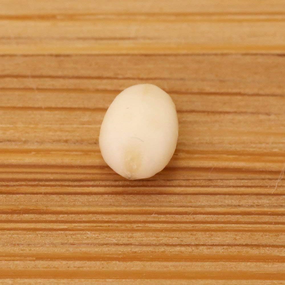 商品画像4