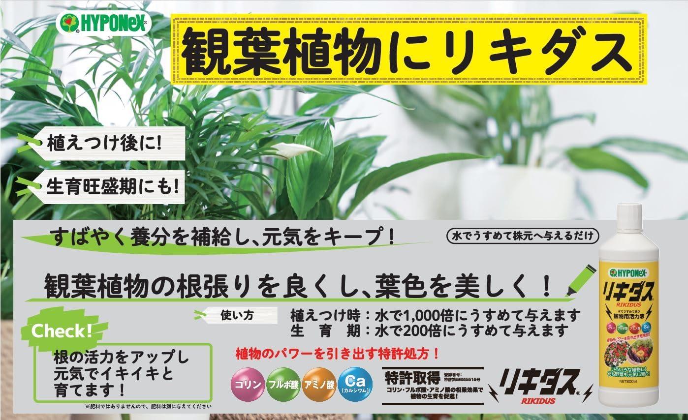 商品画像4