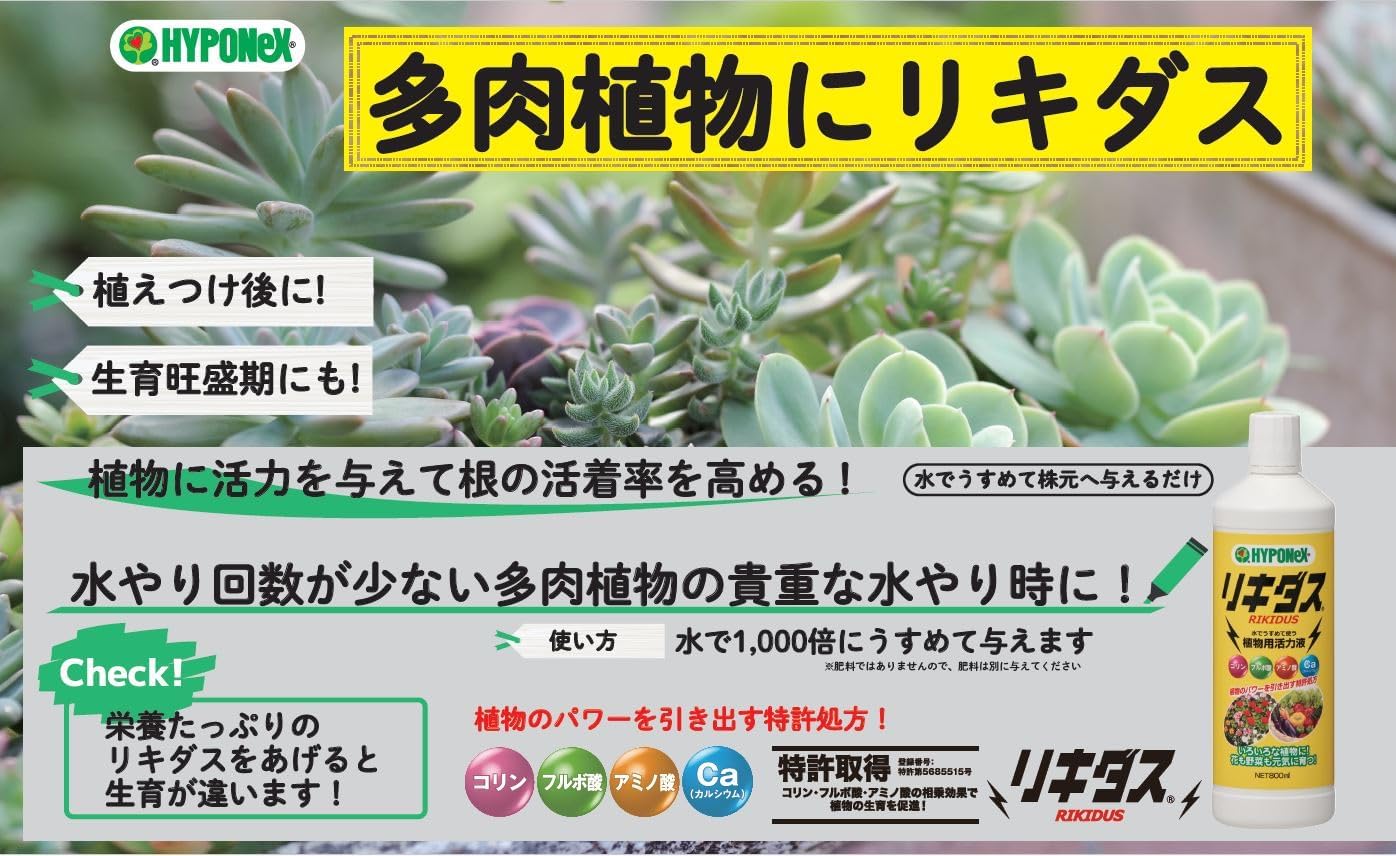 商品画像5