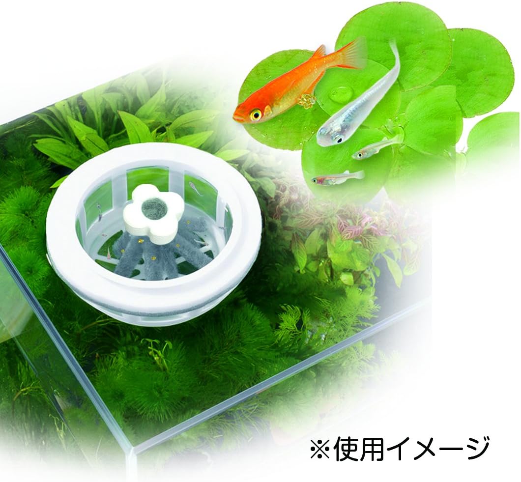 商品画像2