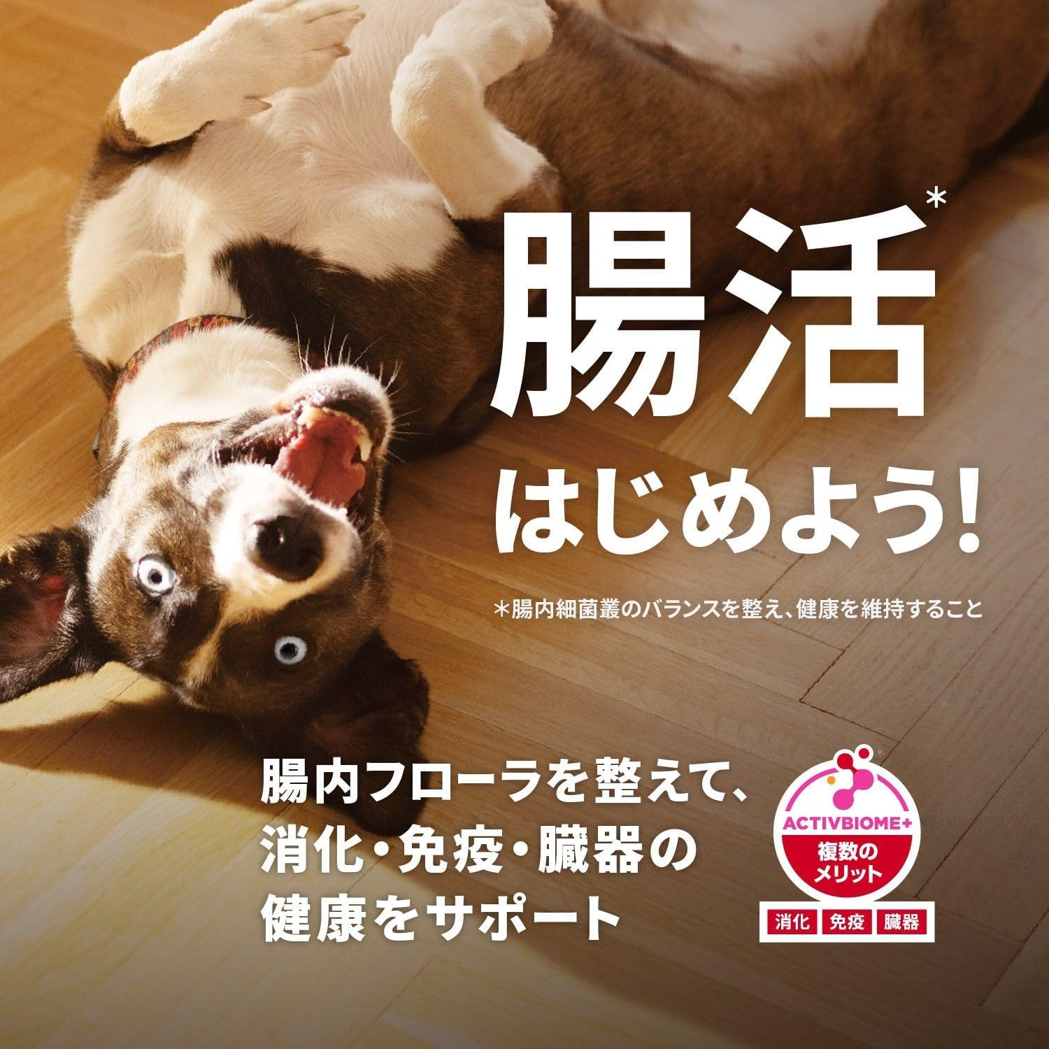 商品画像4