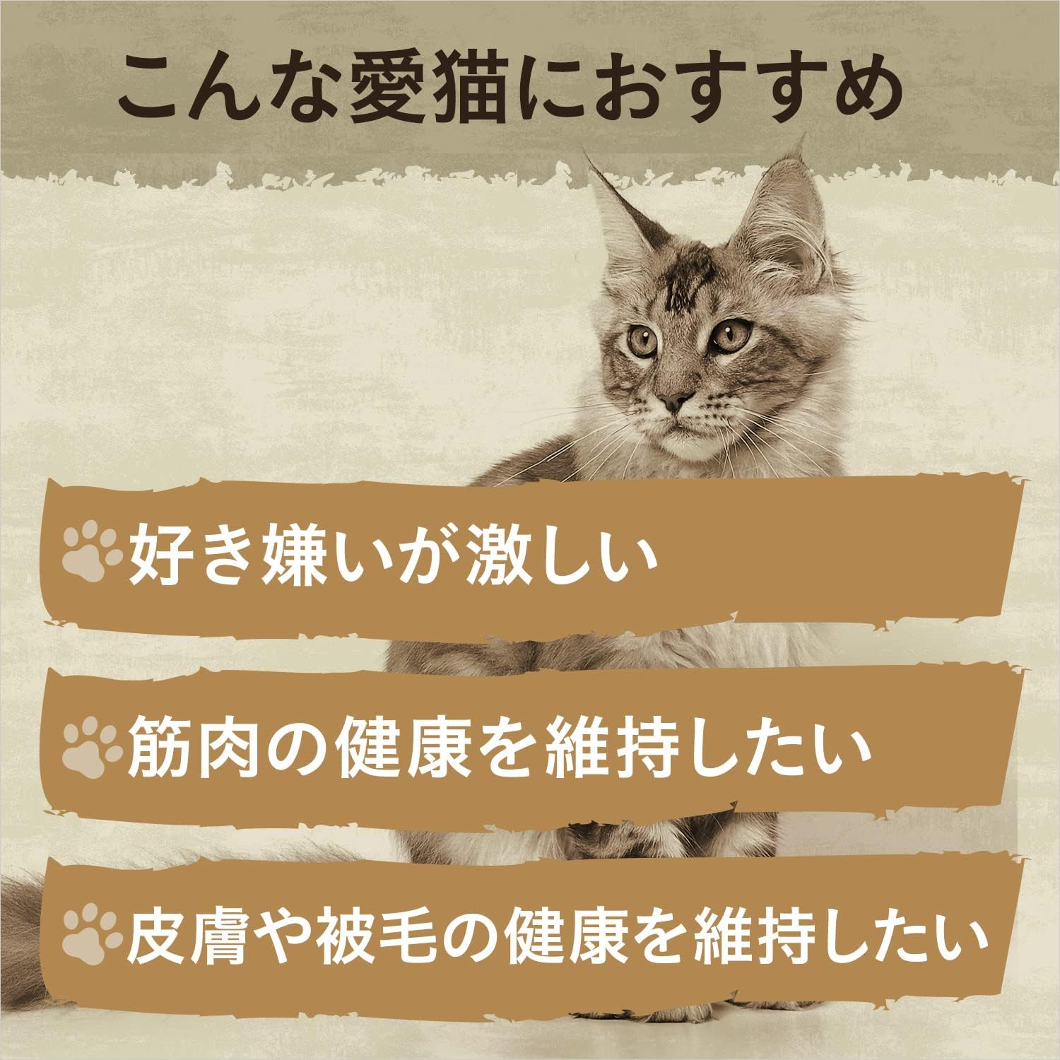 商品画像5