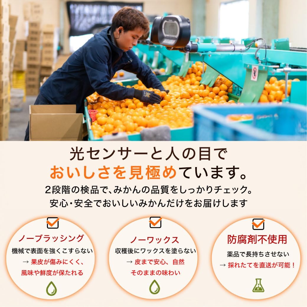 商品画像4