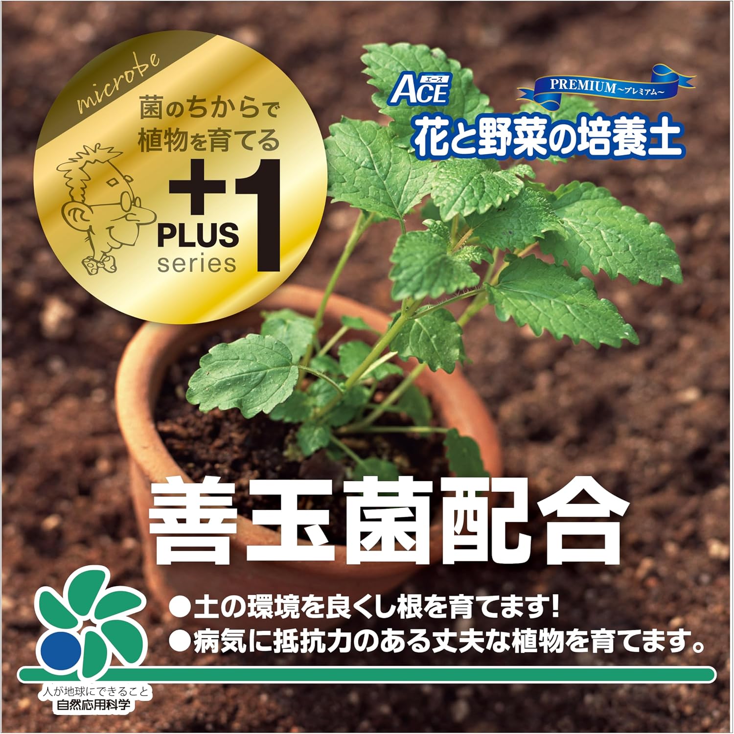商品画像5