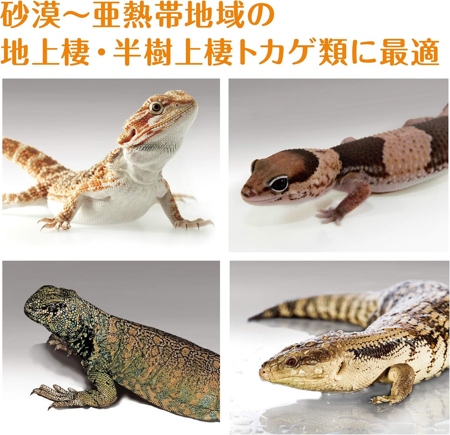商品画像4