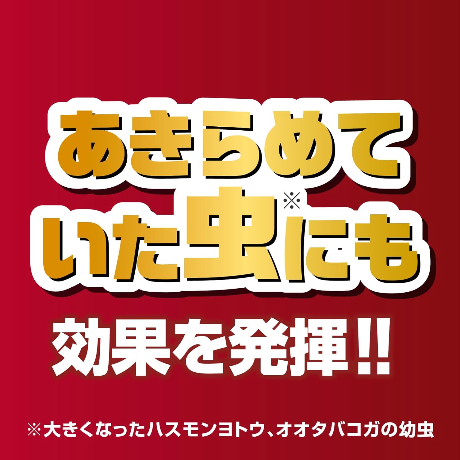 商品画像4