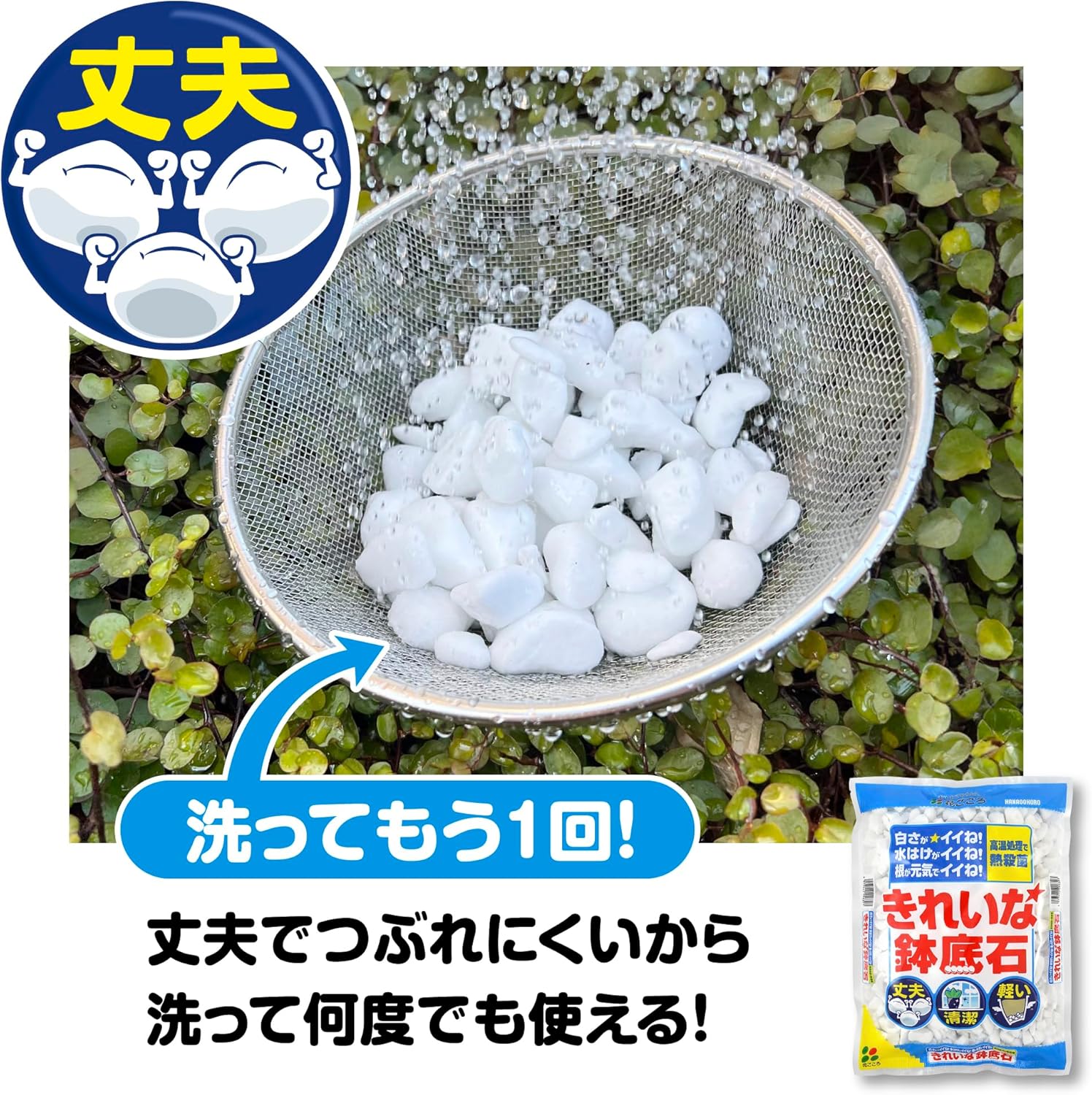 商品画像6