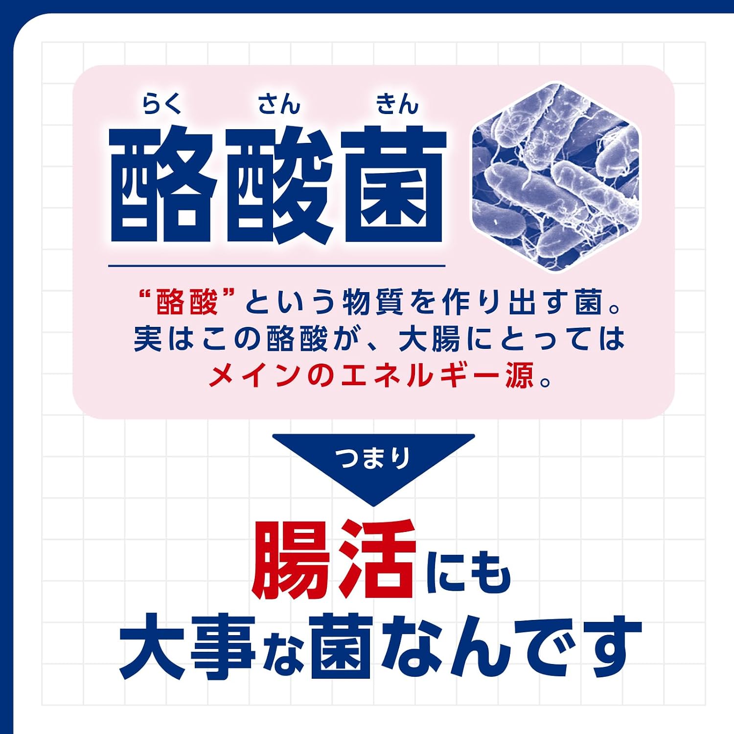 商品画像5