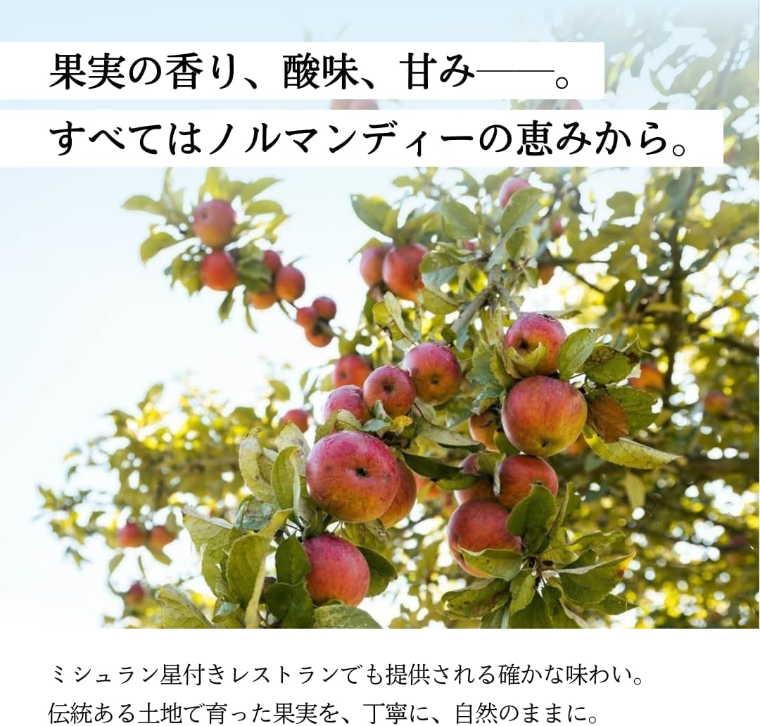 商品画像4