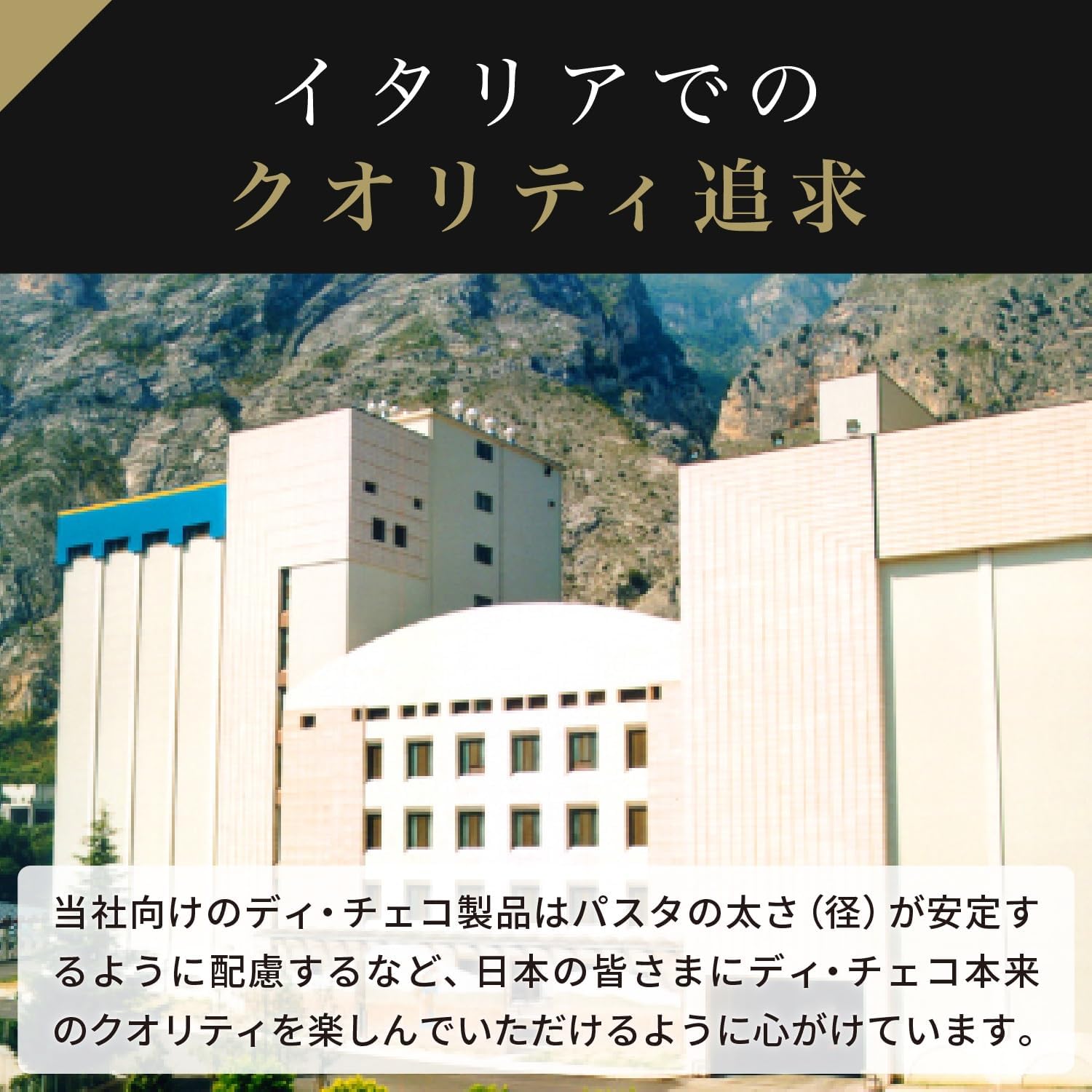 商品画像5