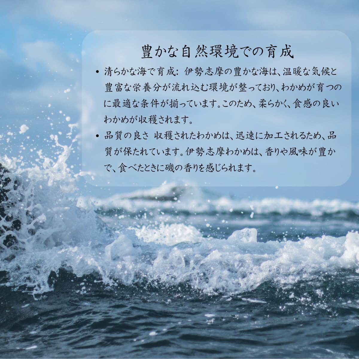 商品画像4