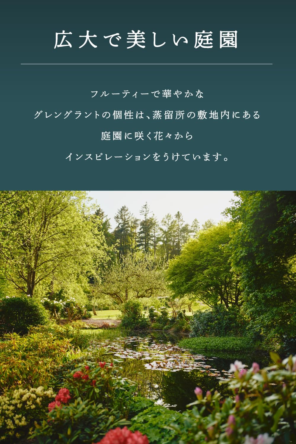 商品画像5