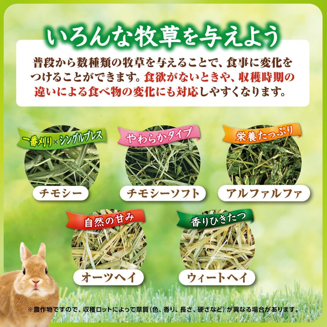 商品画像6