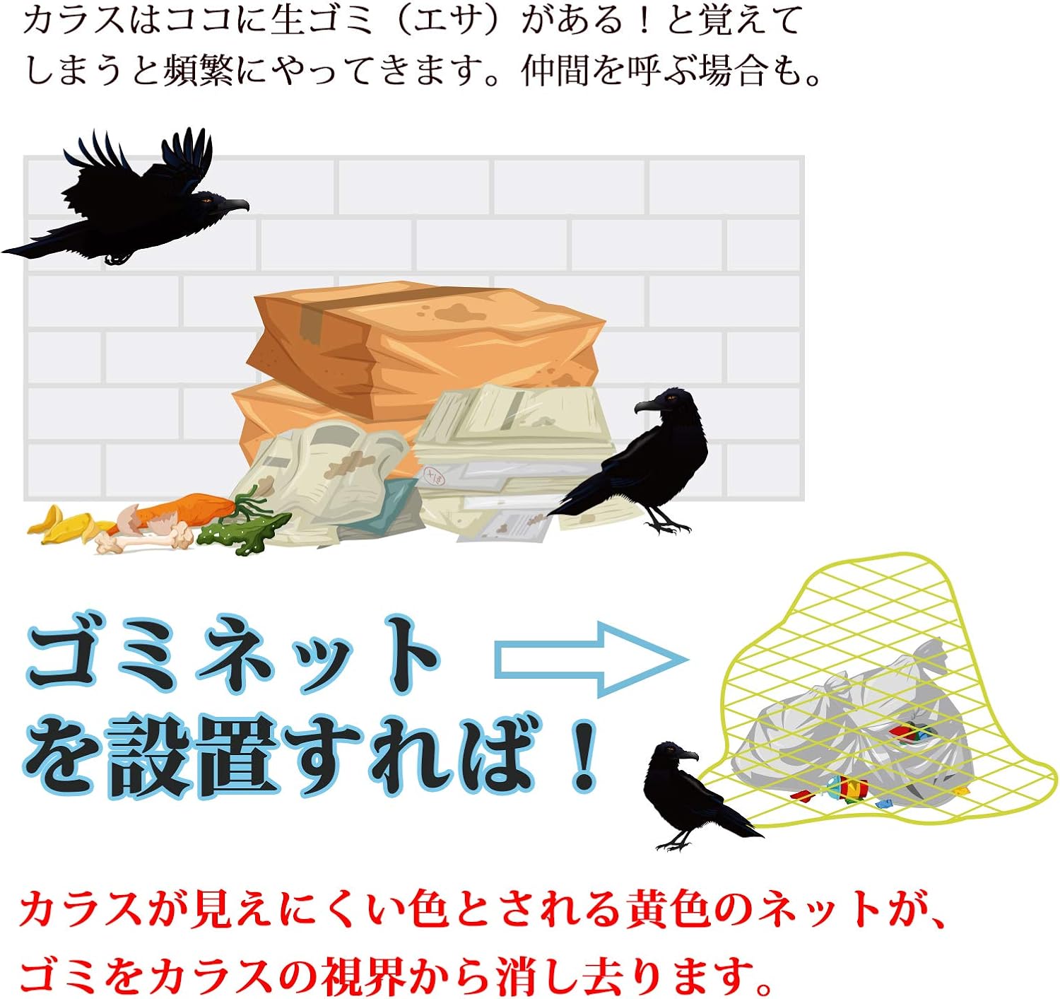 商品画像2