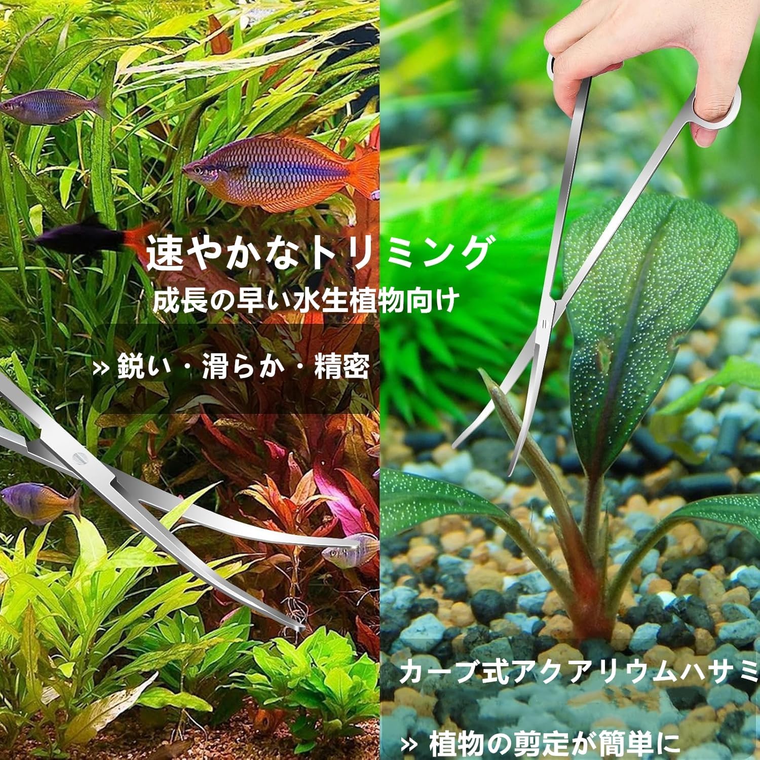 商品画像5