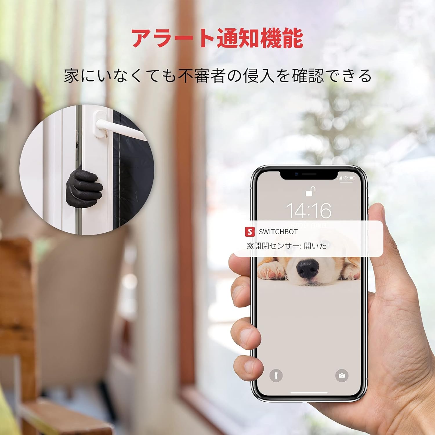 商品画像6