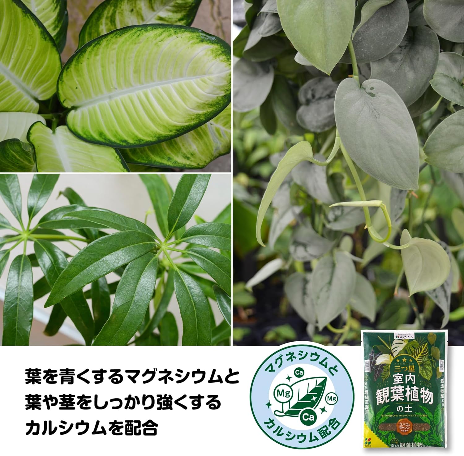 商品画像4