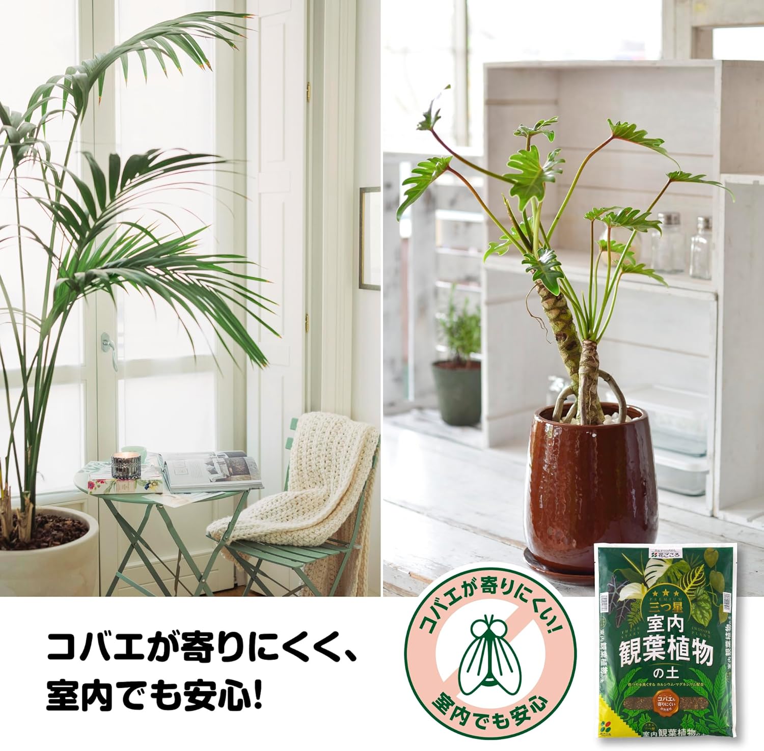 商品画像6