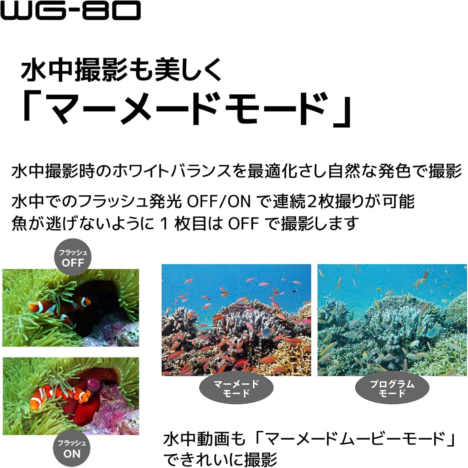 商品画像6