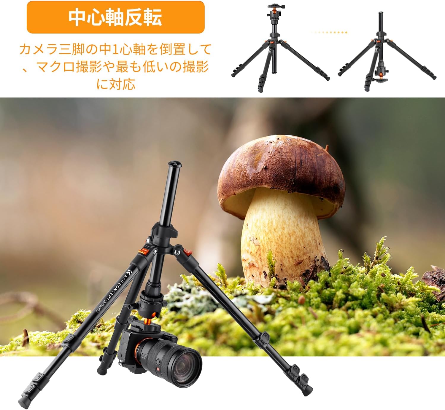 商品画像6