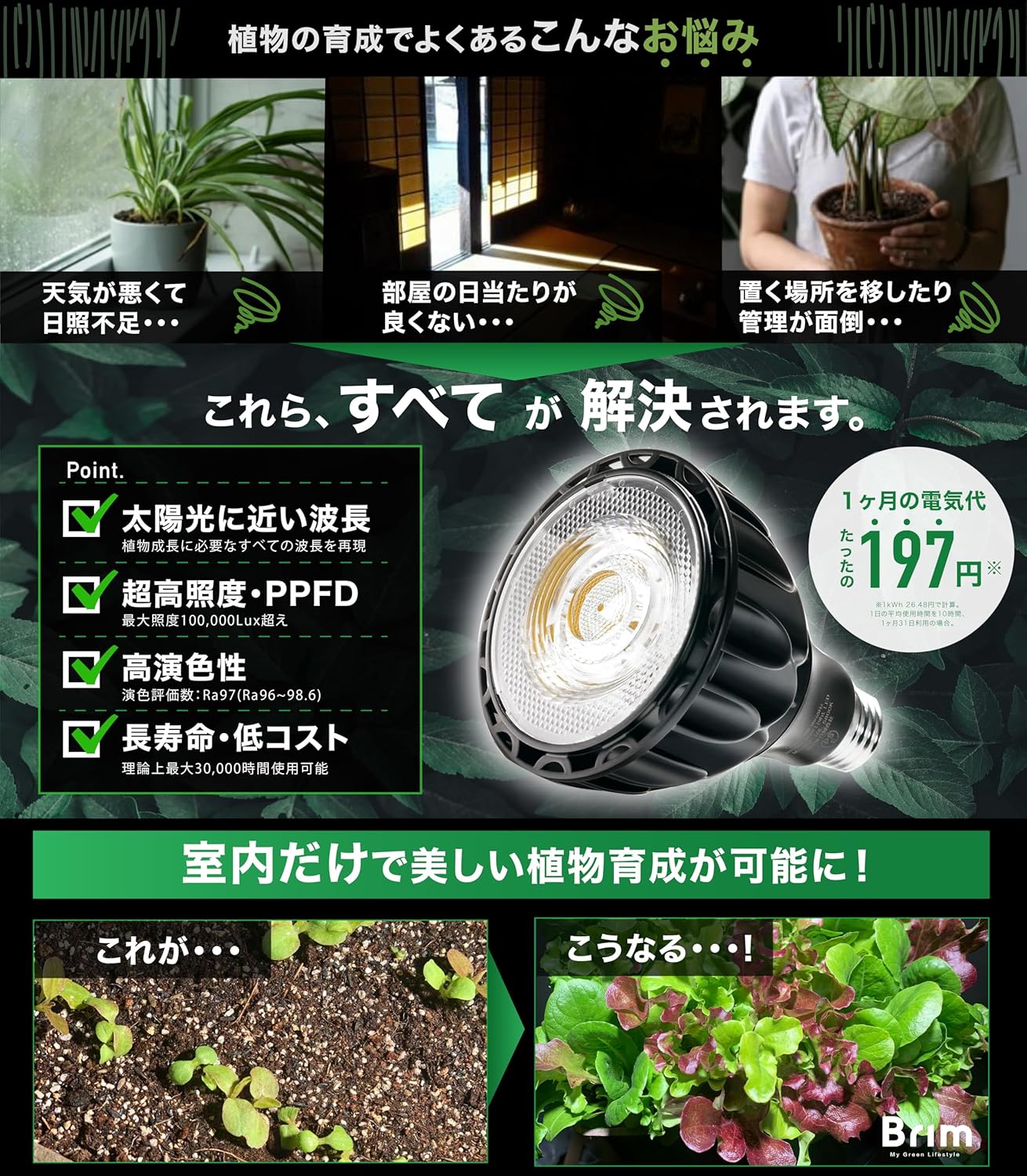 商品画像3
