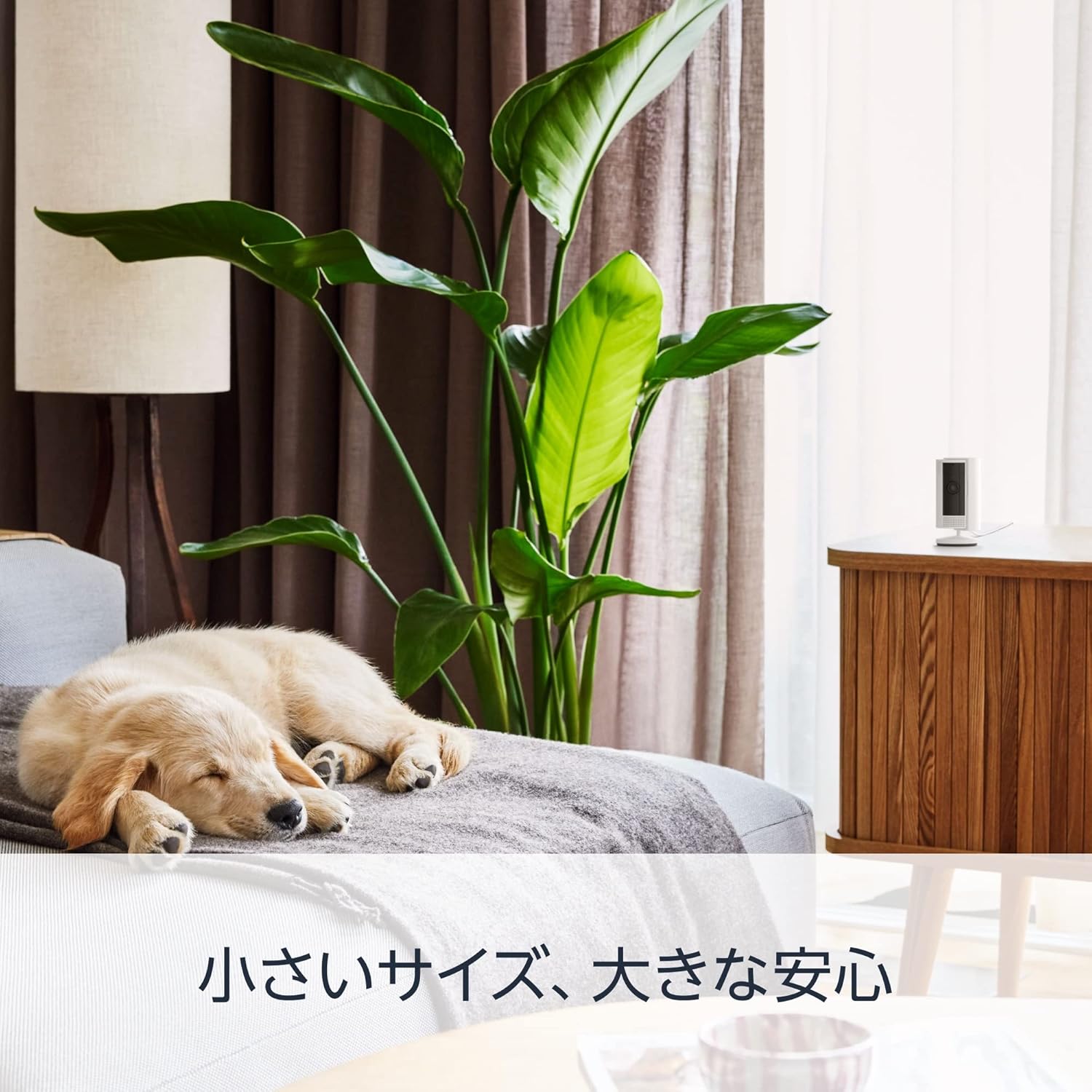 商品画像4