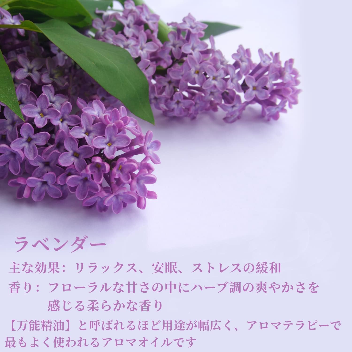 商品画像2