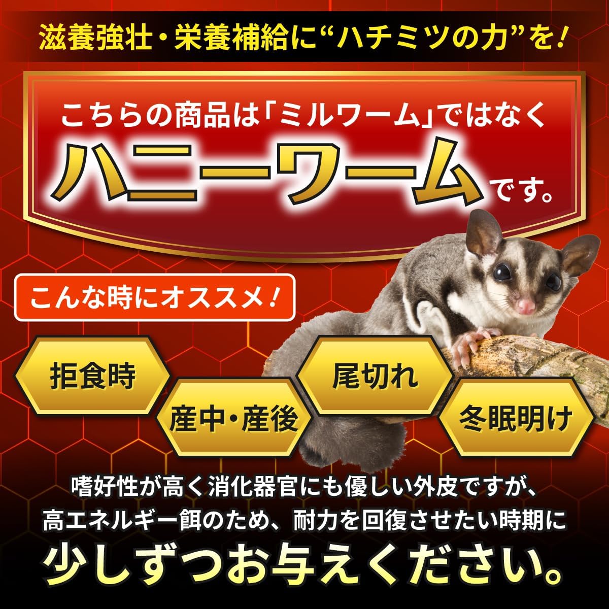 商品画像2