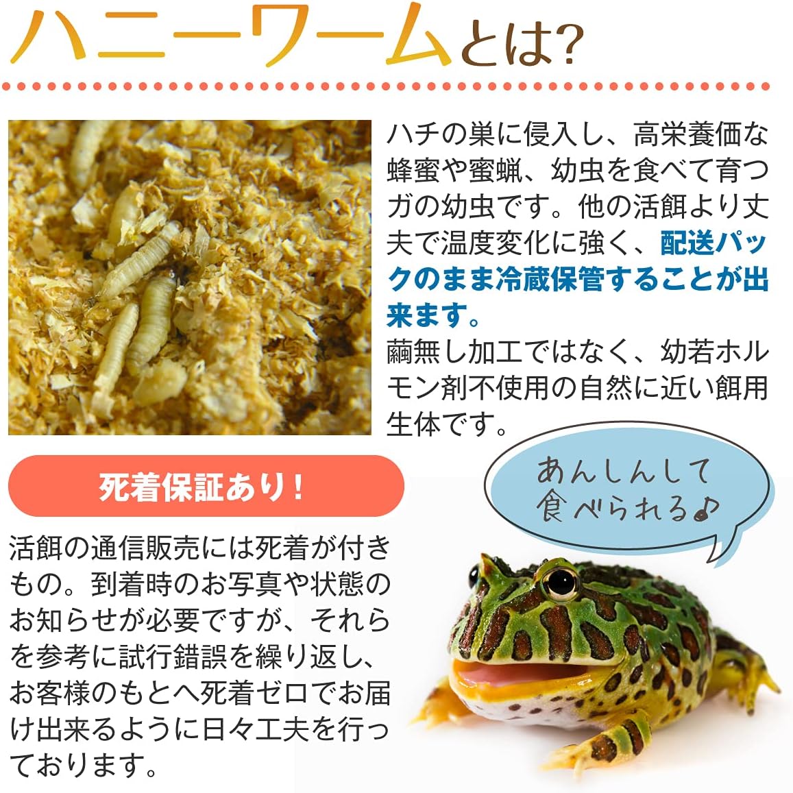 商品画像3
